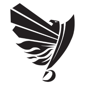 Raiders Logo transparent.png